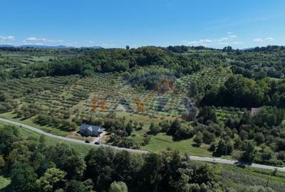 Vanzare teren, intravilan 1067 mp, localitatea Grosi - Maramureș - 3