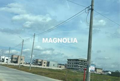 Spațiu comercial, în Cârcea - 2