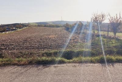 Spațiu comercial, în Roșiori - 8