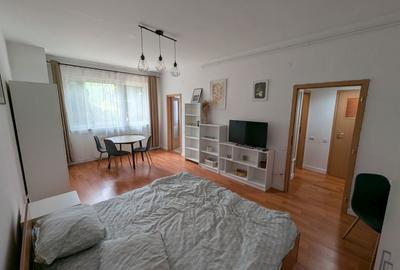 Garsonieră nedecomandată în Gară - 12