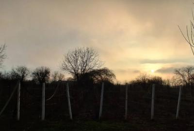 Casă cu 4 camere cu Teren 1200 Mp în Central - 8