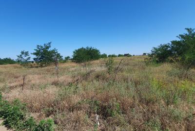 Spațiu comercial, în Malu Mare - 6