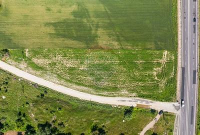 Teren agricol extravilan de 6193 mp, în Sud-Est - 23