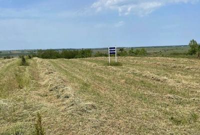 Spațiu comercial, în Comana - 2