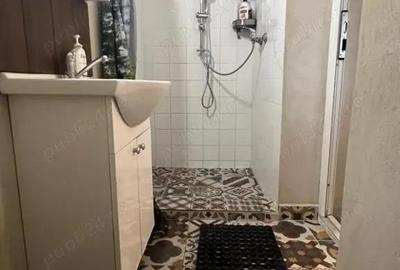 Inchiriere Tiny House cu Terasa + Parcare Victor Babe?, Timi?oara - 6