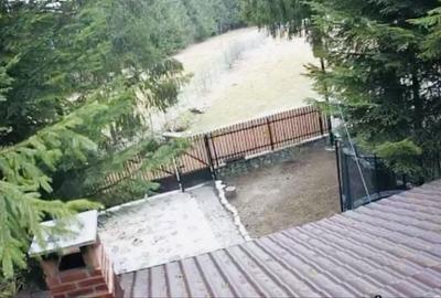 Casă cu 3 camere în Bobicești - 1