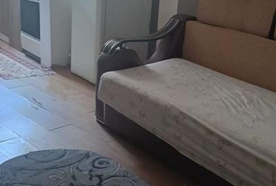 Casa cu curte proprie/ metrou Brancoveanu/Parc Tineretului - 5