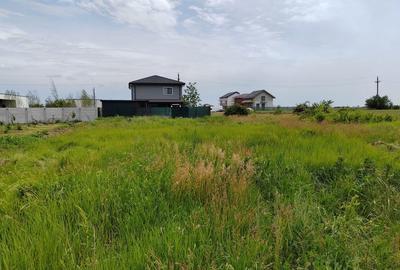 Spațiu comercial, în Balotești - 3