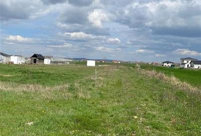 RECO Teren intravilan in  Cihei 500mp - 3