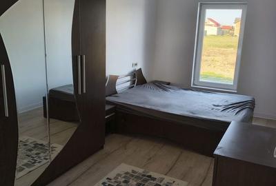 Casă cu 3 camere cu Teren 250 Mp în Remetea Mare - 8