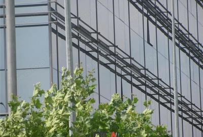 Spațiu comercial, în Băneasa - 5