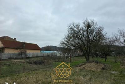 Teren de 1451 mp, în Podari - 5