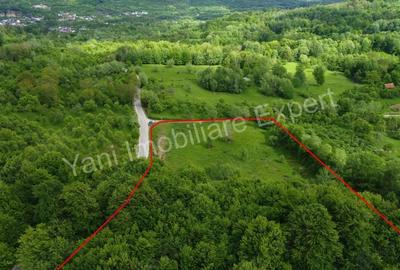 Teren de 8387 mp, în Corbi - 14