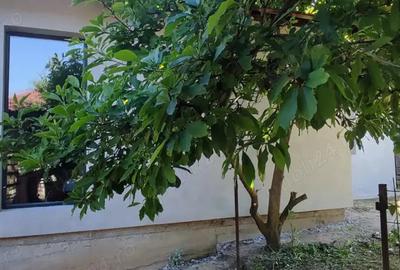 Proprietar, vand casa in zona periurbana Zalau, 84500 euro - 8