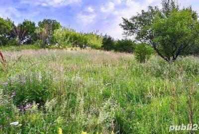 Teren de 3600 mp, în Morilor - 3