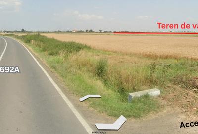 Teren agricol extravilan de 9968 mp, în Sânandrei - 5