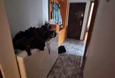 Apartament cu 3 camere decomandat în Militari - 5