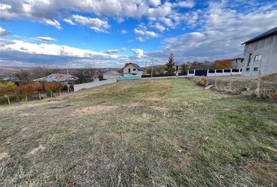 Teren Constructii - Voinesti - 3