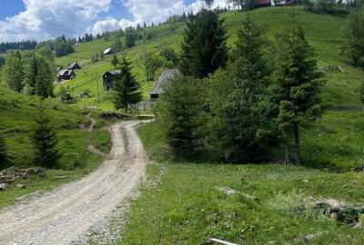 Teren de 1505 mp, în Băișoara - 3