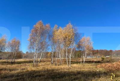 Teren construibil de vanzare, zona casele Micesti - 2