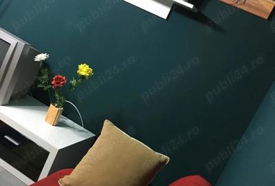 Apartament cu 2 camere decomandat în Craiovița Nouă