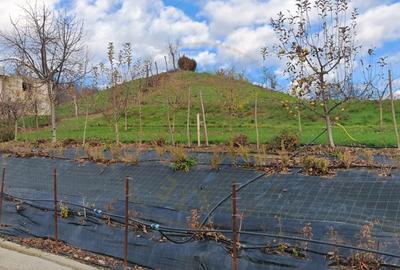 Teren intravilan cu casa veche – Mioveni, zona Faget - 3