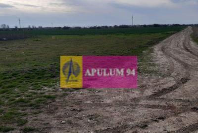 Teren de 369 mp, în 1 Decembrie - 9