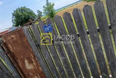 Teren 5000 mp, Dumbrava - Itesti, jud. Bacau, la E85 - 5