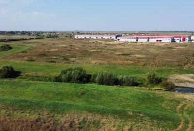 Teren Construcții intravilan de 4510 mp, în Sânandrei - 6