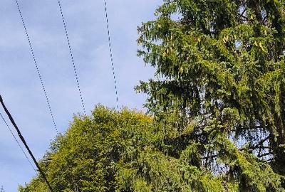 Teren de 4084 mp, în Valea Doftanei - 10