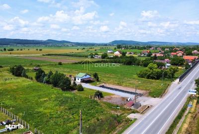 Spațiu comercial, în Dumbrăvioara - 5