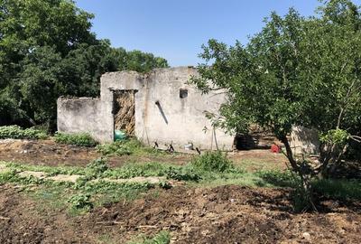 Teren investiție, de 9,795 mp, în Rădoiești - 6
