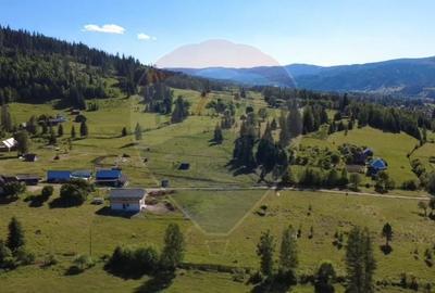 Teren intravilan in Suceava,Neagra Sarului,3002m.p.la 20km de V.Dornei - 11