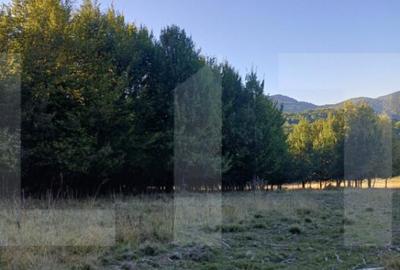 Teren extravila in inima naturii - 4