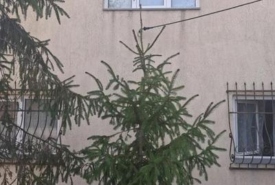 Casă cu 4 camere cu Teren 1300 Mp în Poarta Albă - 3