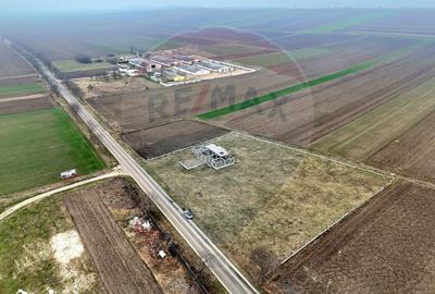 Teren de 6900 mp, în Vlădeni - 2
