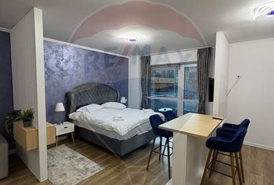 Studio luminos,55 mp, 2022 + parcare, Sinaia, introdus regim hotelier - 11