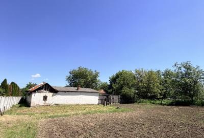 Casă cu 5 camere cu Teren 3000 Mp în Central - 9