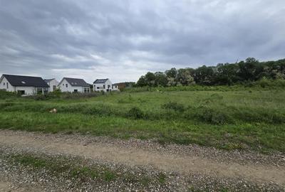 Teren intravilan Balotesti 9782mp 96ml deschidere langa padure - 3