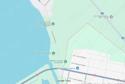 Teren de 2000 mp, în Boșneagu - 3