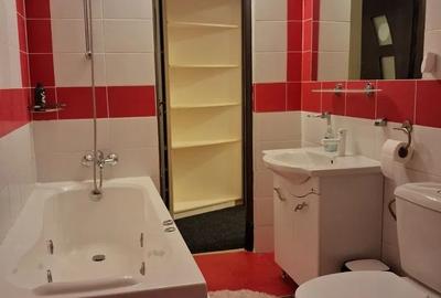 Apartament cu 2 camere semidecomandat, mobilat în Nicolina - 11