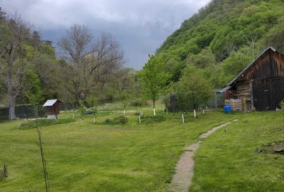 Casă cu 3 camere în Hărțăgani - 3