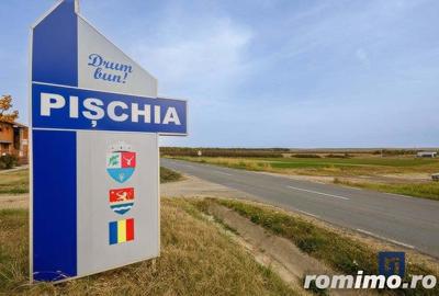 Teren de 19000 mp, în Pișchia - 3
