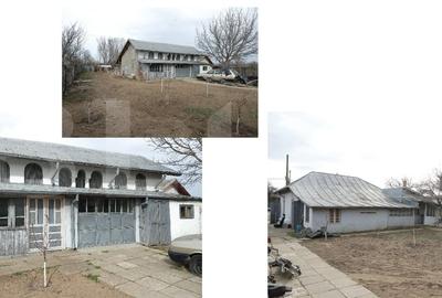 Casa de Vanzare la Țara, Gospodarie Completa, Daneti, judetul Dolj, 2.454 mp - 16