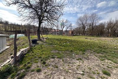 Casă cu 4 camere cu Teren 1900 Mp în Chiochiș - 16