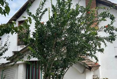 Casa de vanzare in Calafat - 5