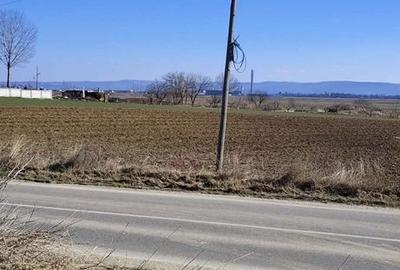 Teren de 1630 mp, în Luizi-Călugăra - 6