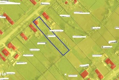 Casă cu 2 camere în Remetea Mică - 3