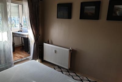 Garsoniera 45mp recompartimentata in 2 camere - parcul Tei - renovat - mobilat - 12