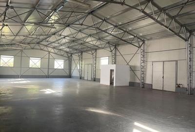 Spațiu comercial, de 1,230 mp, în Central - 10